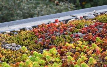the cost of Llanrhystud green roof installation