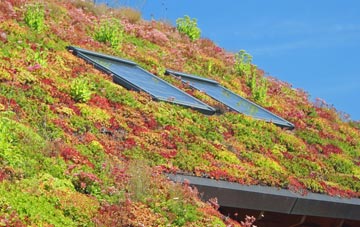 Llanrhystud living roof systems